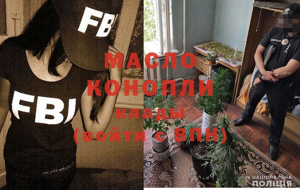 прущие крисы Ельня