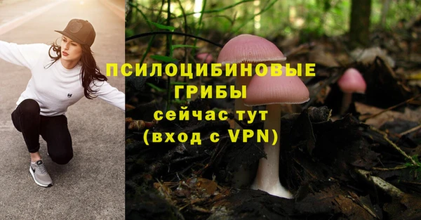 первитин Елабуга