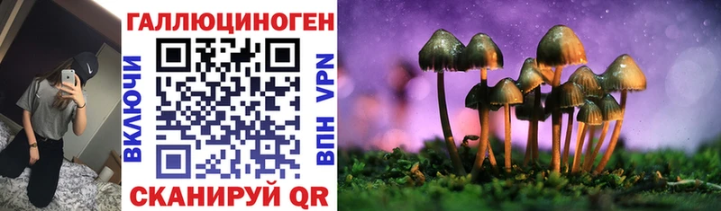 Купить где  Западная Двина  Псилоцибиновые грибы мухоморы 